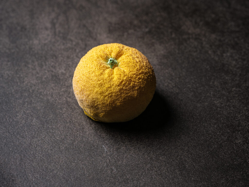 Realistic Yuzu Molds