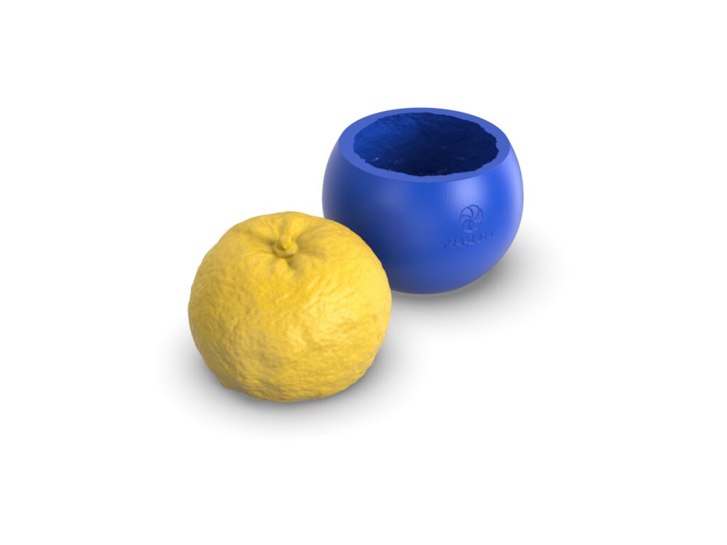 Realistic Yuzu Molds