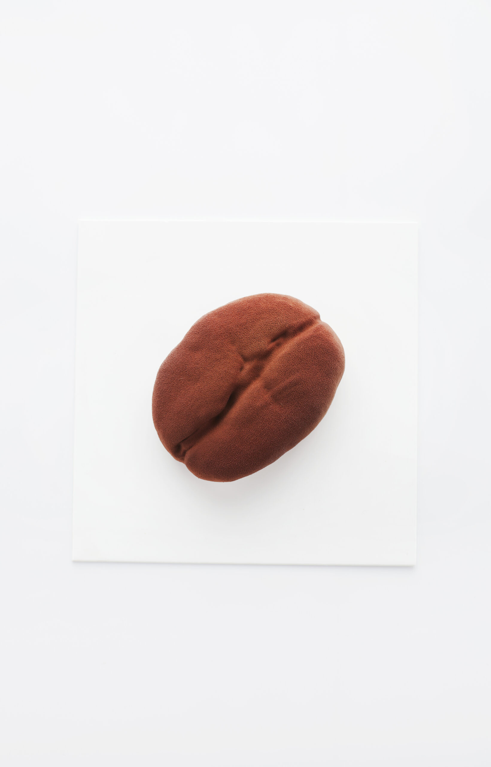 Realistic Coffee Bean Molds
