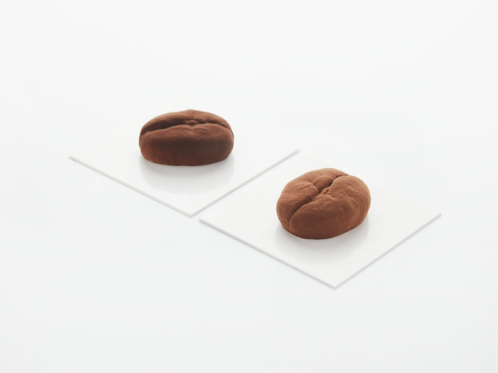 Realistic Coffee Bean Molds