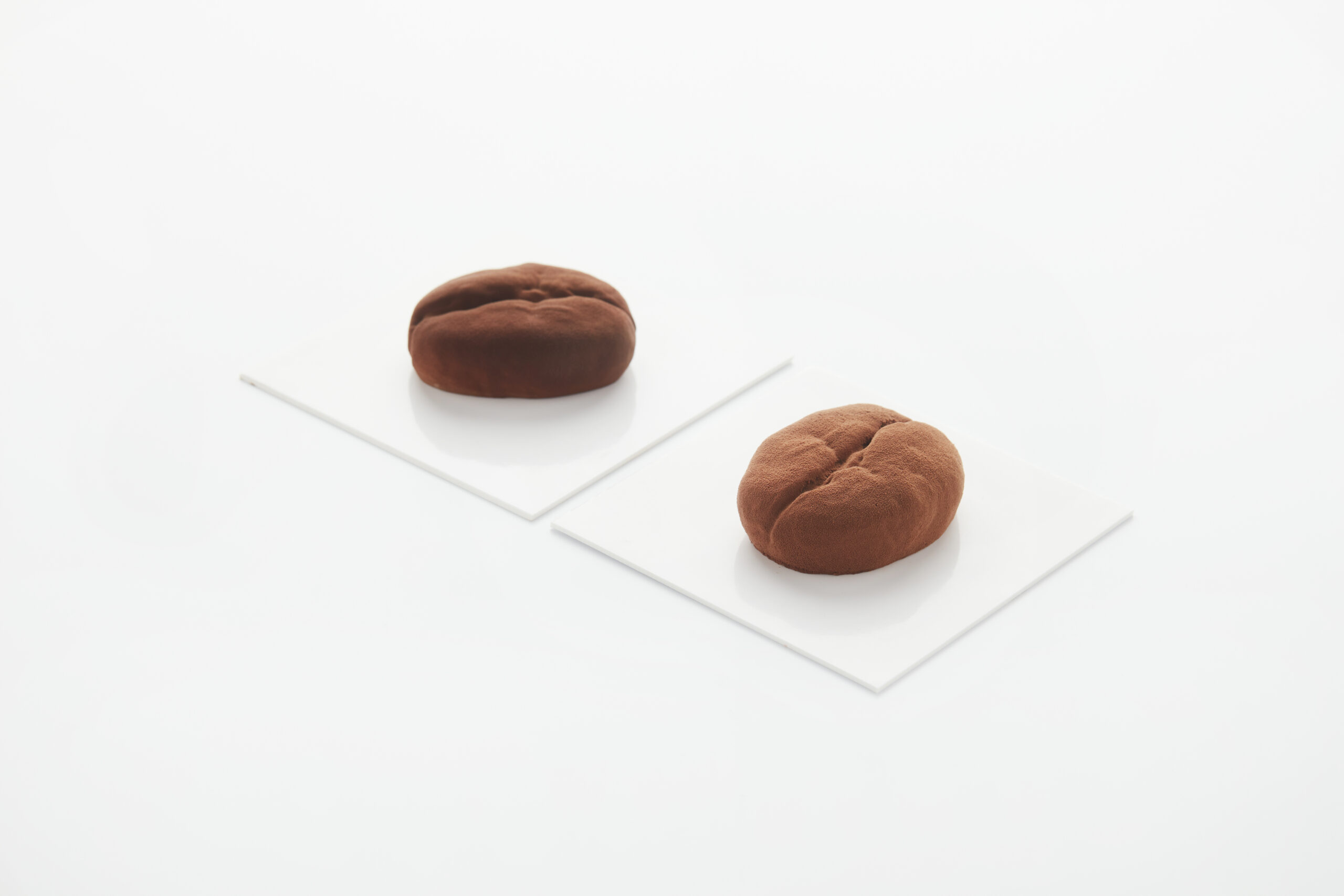 Realistic Coffee Bean Molds