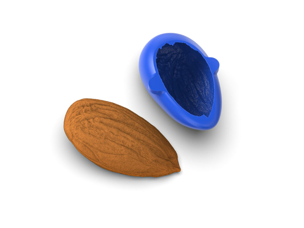 Realistic Almond Molds