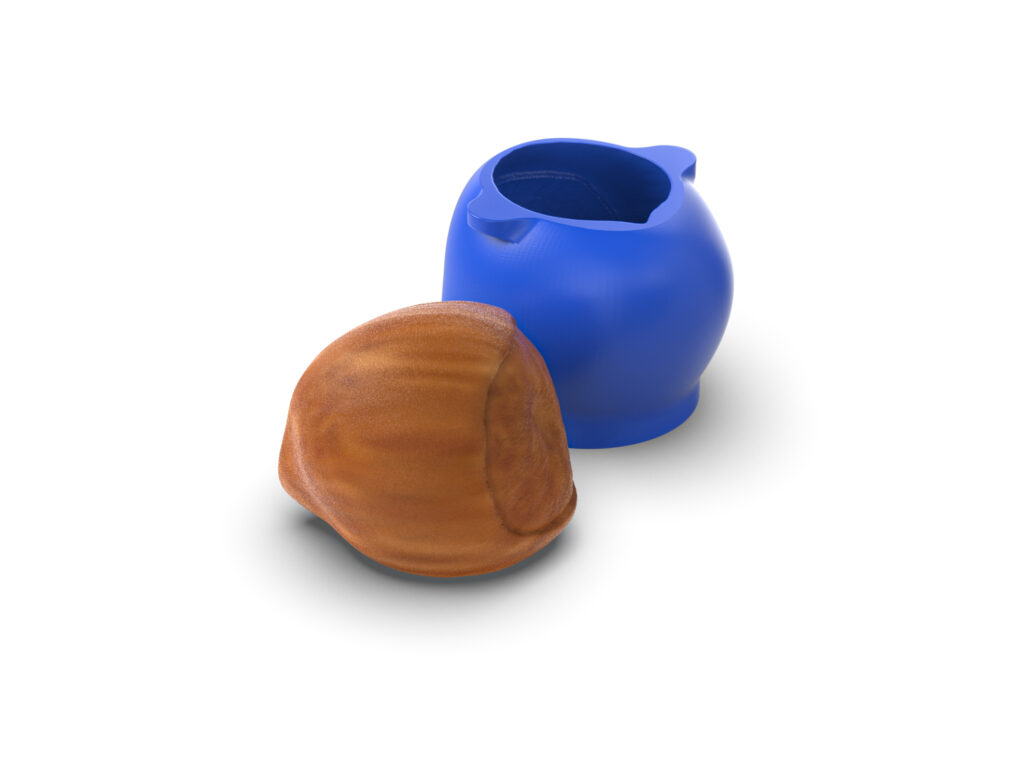Realistic Hazelnut Mold (1 pc)
