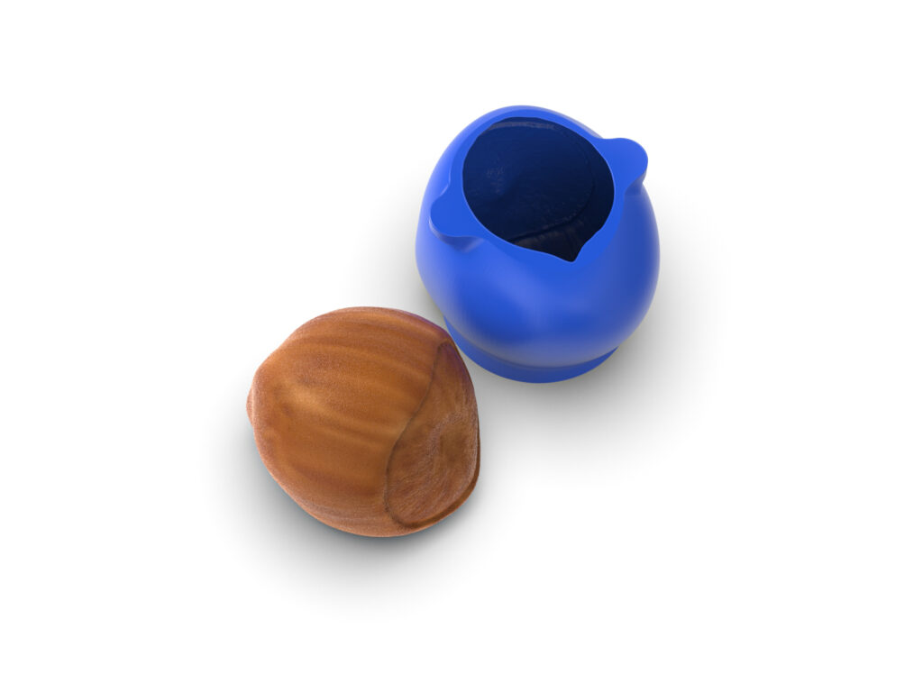 Realistic Hazelnut Molds