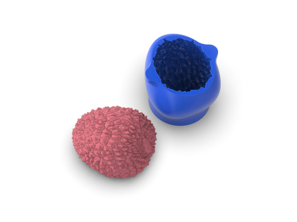 Realistic Lychee Molds