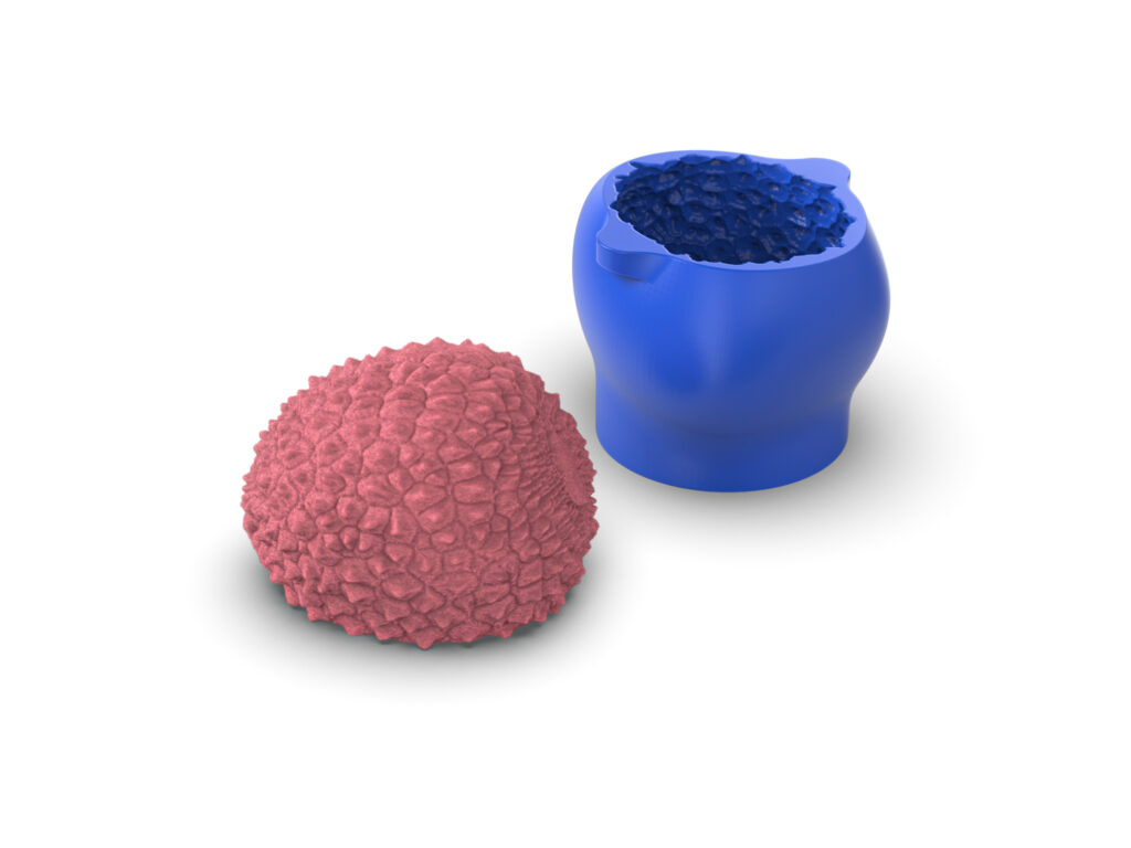 Realistic Lychee Molds