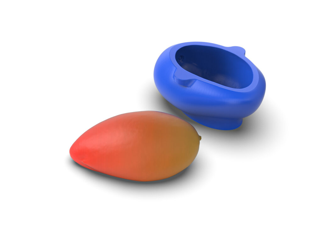 Realistic Mango Molds