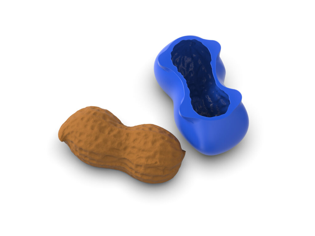 Realistic Peanut Molds