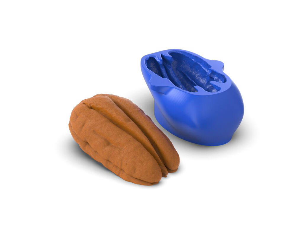 Realistic Pecan Molds
