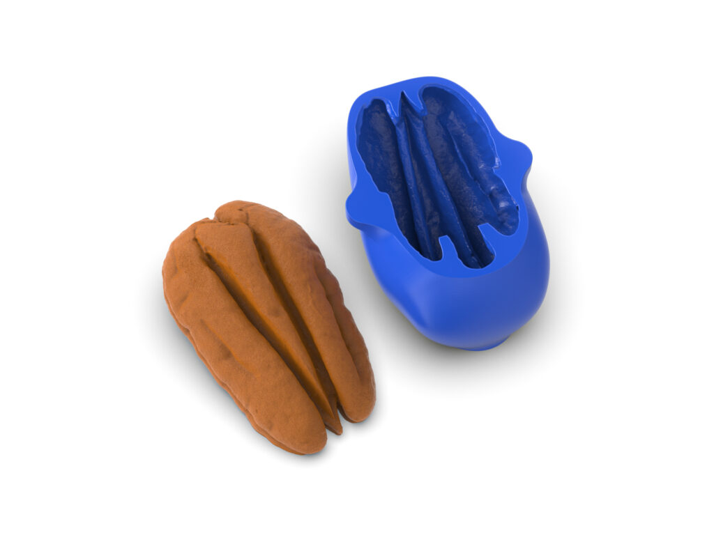 Realistic Pecan Molds