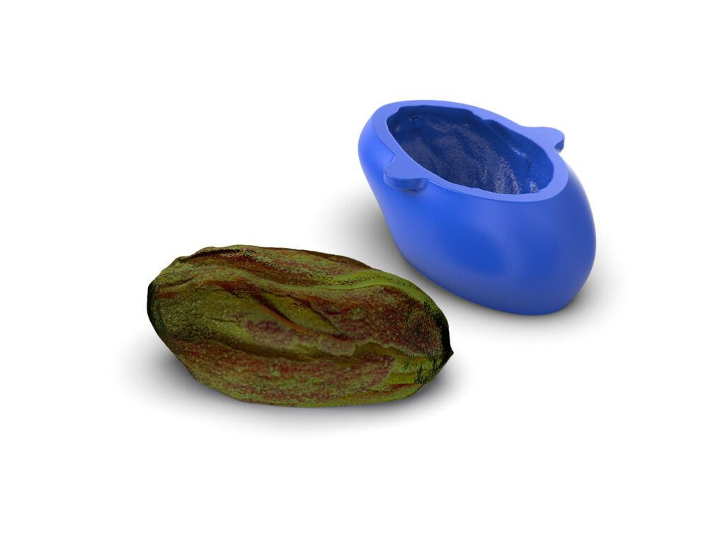 Realistic Pistachio Molds