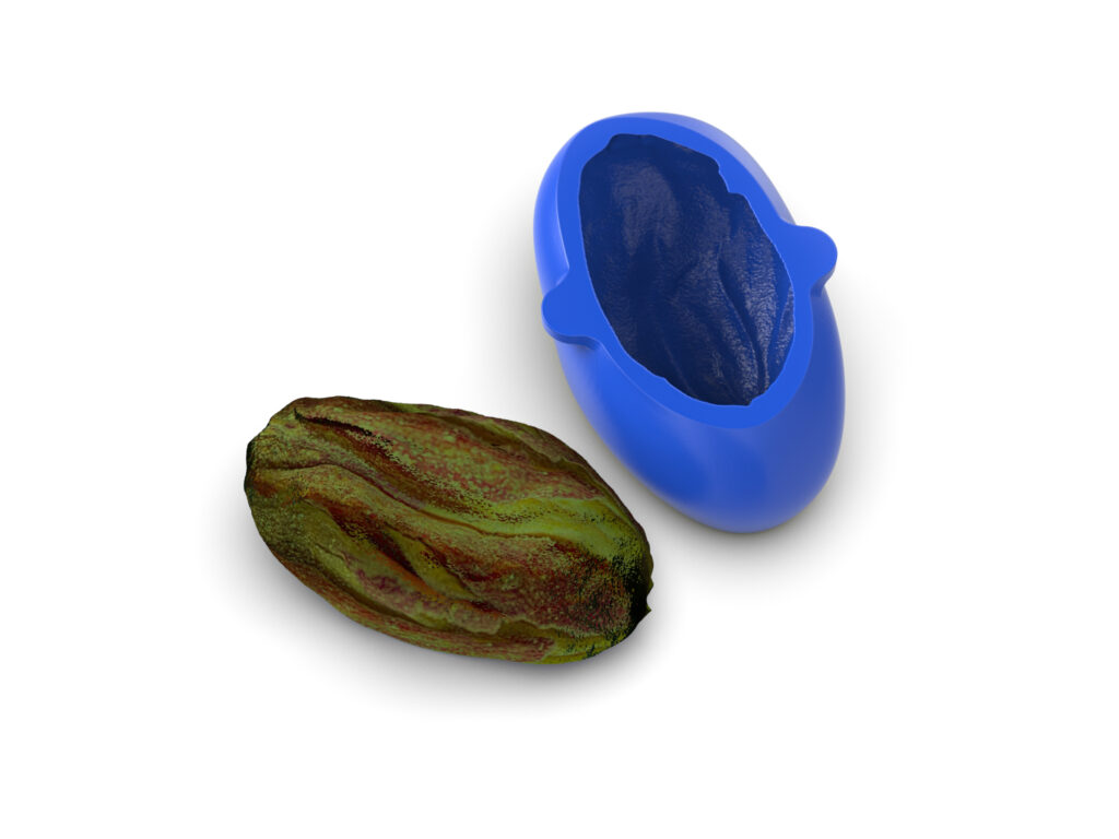 Realistic Pistachio Molds