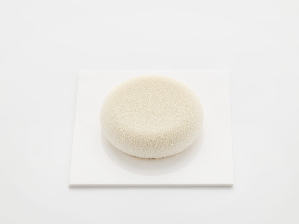 Rounded Disc Ø5.2x1.5 Molds
