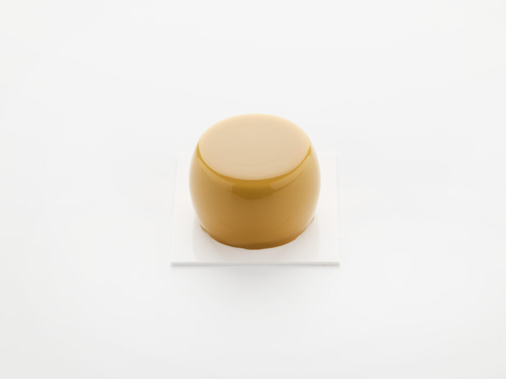 Rounded Puck Ø6.2x4.0 Molds