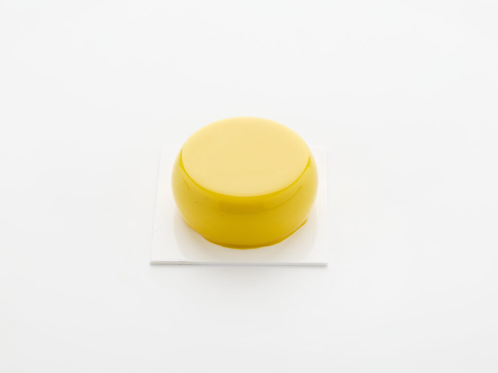Rounded Puck Ø6.7x2.7 Molds