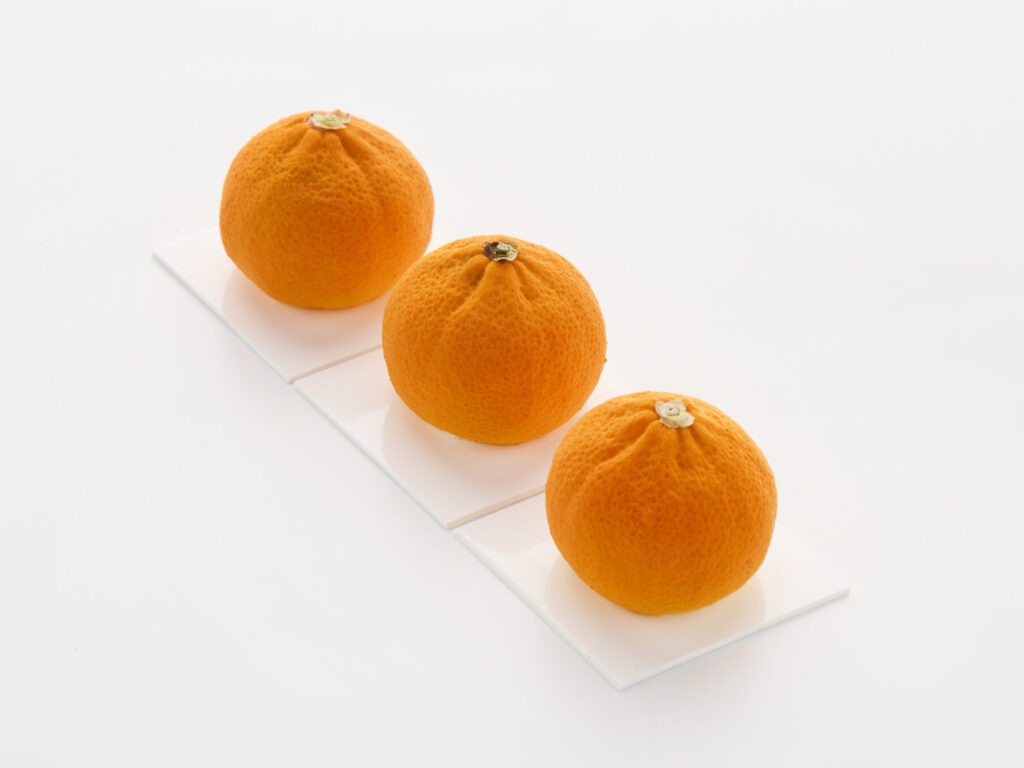 Realistic Mandarin Molds