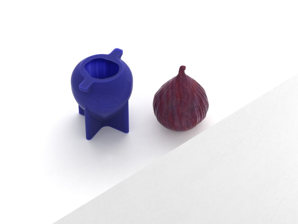 Realistic Fig Molds