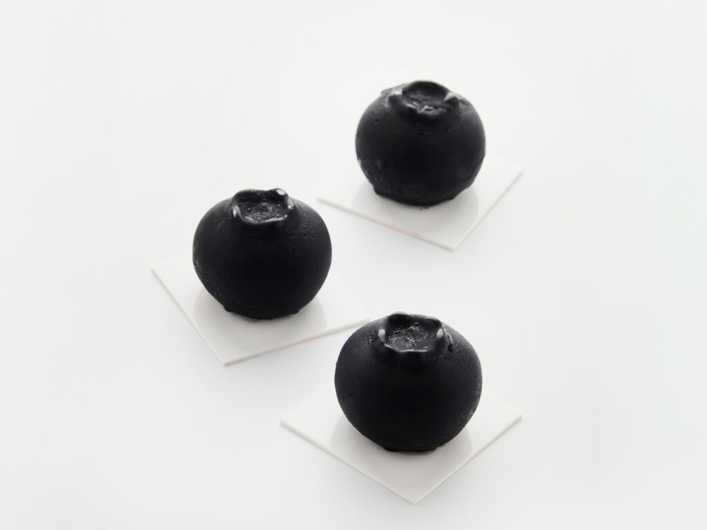 Realistic Blueberry Molds