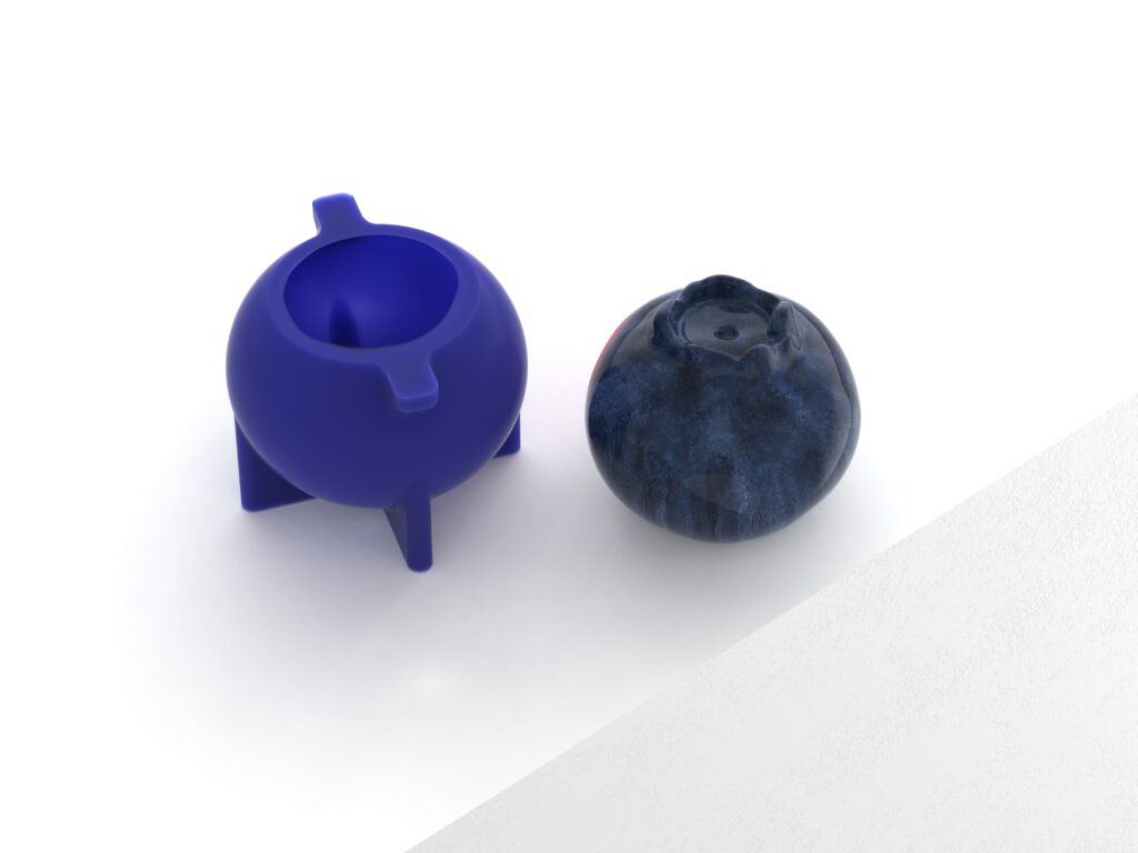 Realistic Blueberry Molds